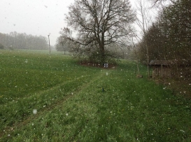 Feldturnier Wirsberg 2016