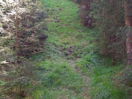 13835461_1043561402407582_654522382_o