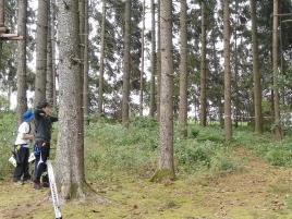 Bayerische-Meisterschaft-Feld-2017-6