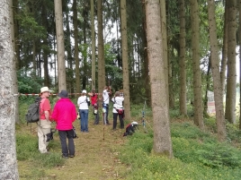 Bayerische-Meisterschaft-Feld-2017-7