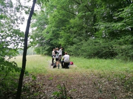 Bayerische-Meisterschaft-Feldbogen-2018-29