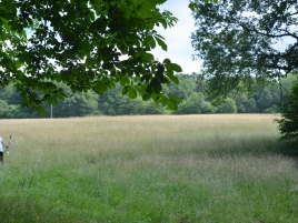 Bayerische-Meisterschaft-Feldbogen-2018-3