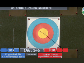 Stechpfeil im Goldfinale