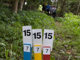 Steffi-Santl-15-Meter-Bunnies-DM-Feld-2017