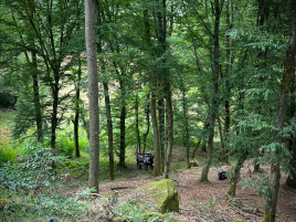 DM-Feldbogen-2023-12