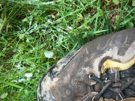 1.Rangliste-Feldbogen-Altenkirchen-2019-1