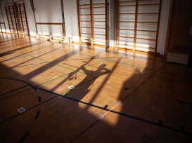 Gaumeisterschaft Halle 2020