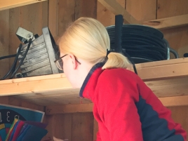 Herbstarbeitsdienst-2017-Spassauflagen