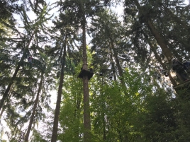 Daniel Kletterwald Bogenschützen TSV Natternberg