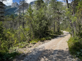 Gelände des Arnspitzturniers