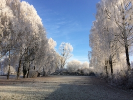 BS-Natternberg-Schiessplatz-Winter