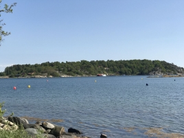 Foto 24.05.17, 15 45 01