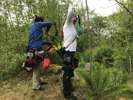 Foto 27.05.17, 09 18 02