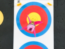 VM-Halle-2019-1
