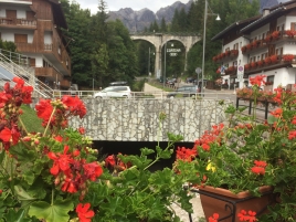 WM-Feldbogen-Cortina